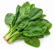 ESPINACA KG