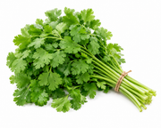 CILANTRO PAQUETE UNIDAD