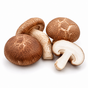 CHAMPIÑON SHIITAKE KG