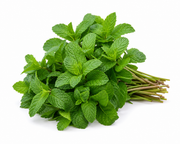 MENTA FRESCA BANDEJA 200 GR