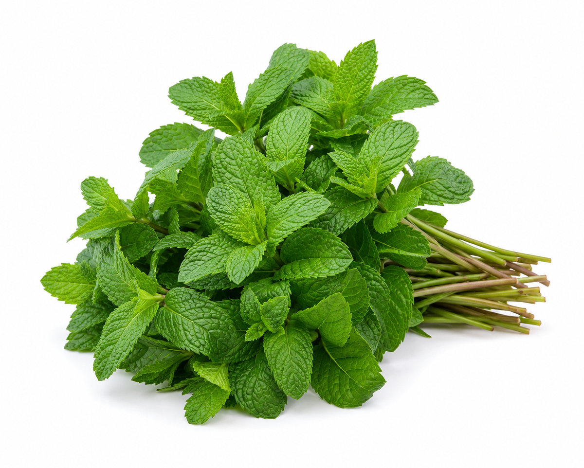 MENTA FRESCA BANDEJA 200 GR