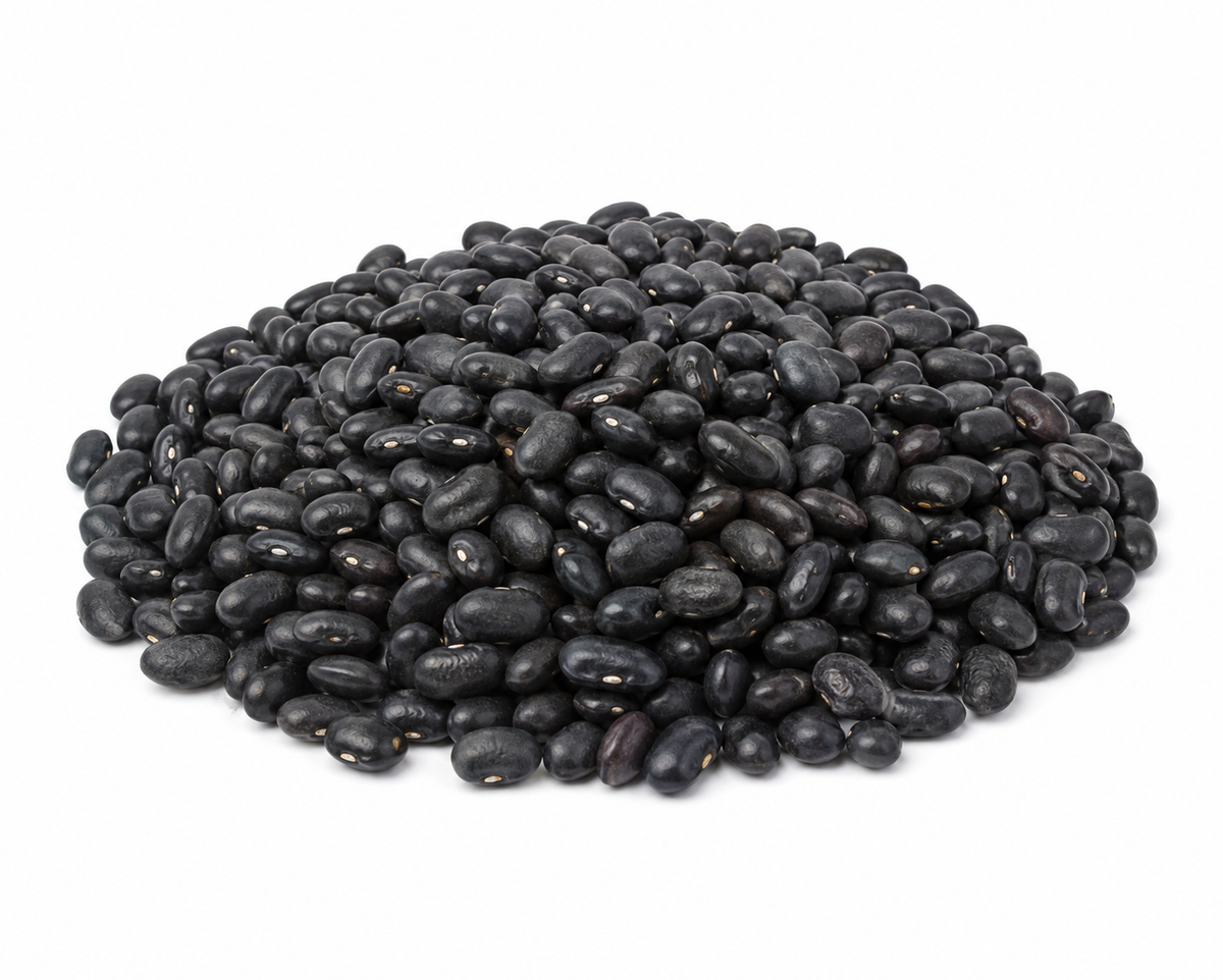 POROTO NEGRO KG