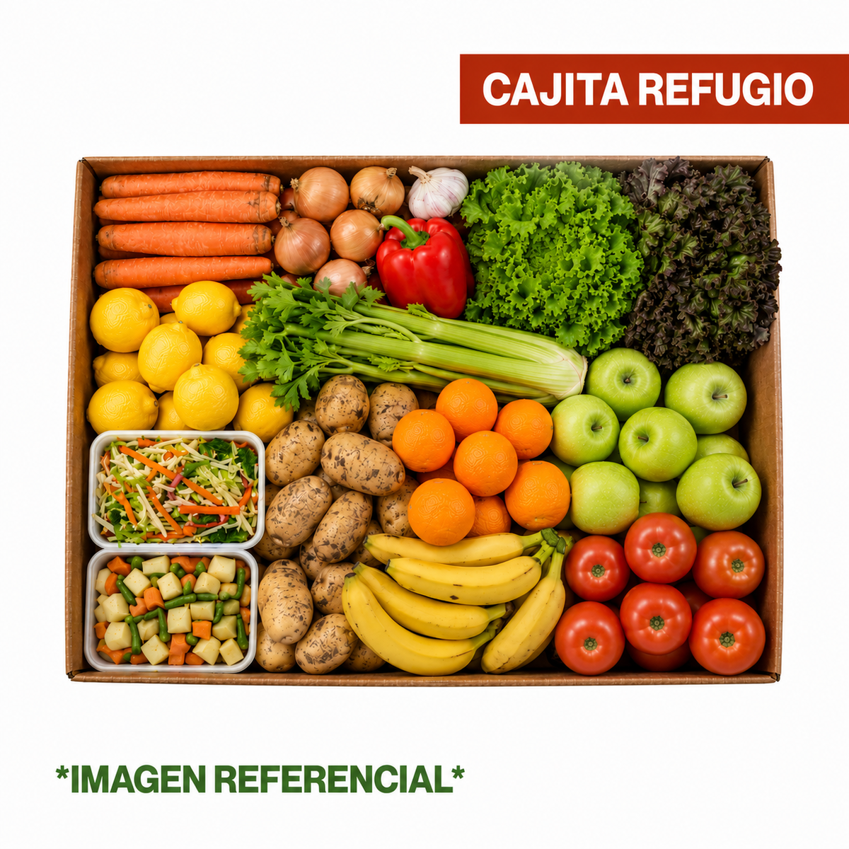 CAJITA REFUGIO