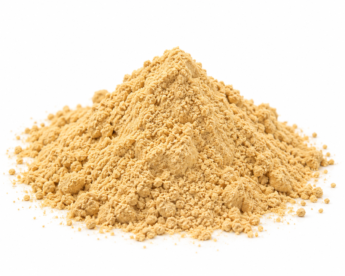 JENGIBRE EN POLVO 500 GR