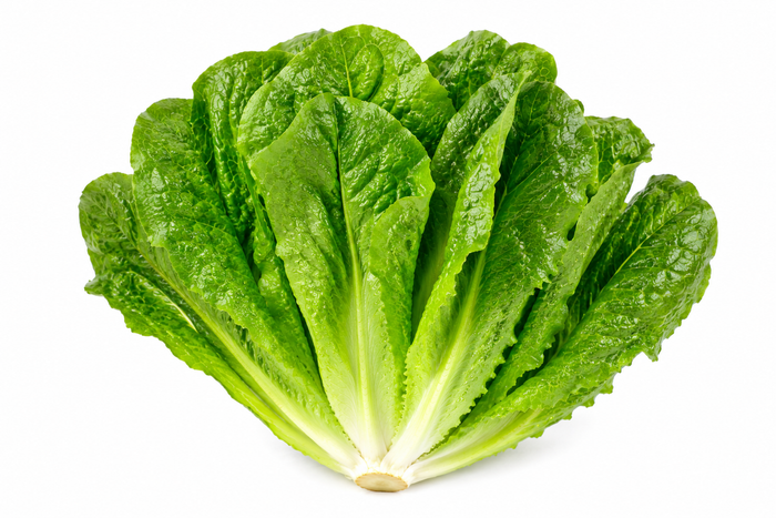 LECHUGA COSTINA UNIDAD