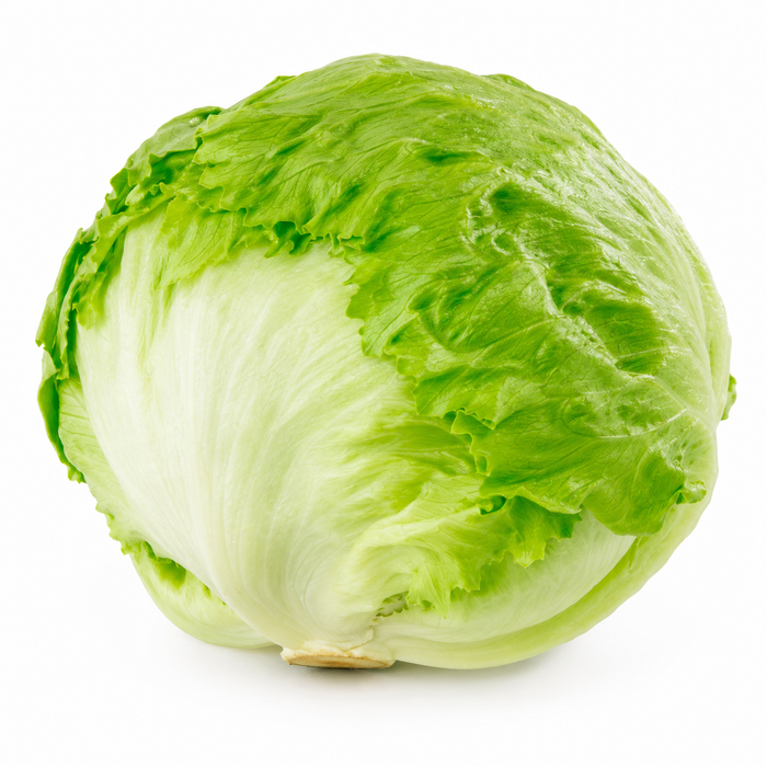 LECHUGA ESCAROLA UNIDAD