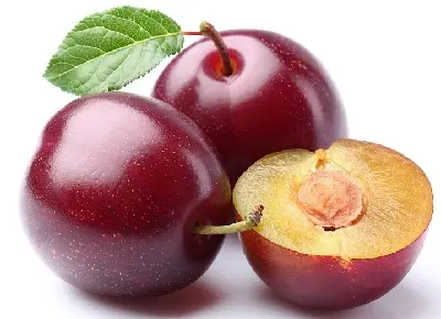 CIRUELA KG