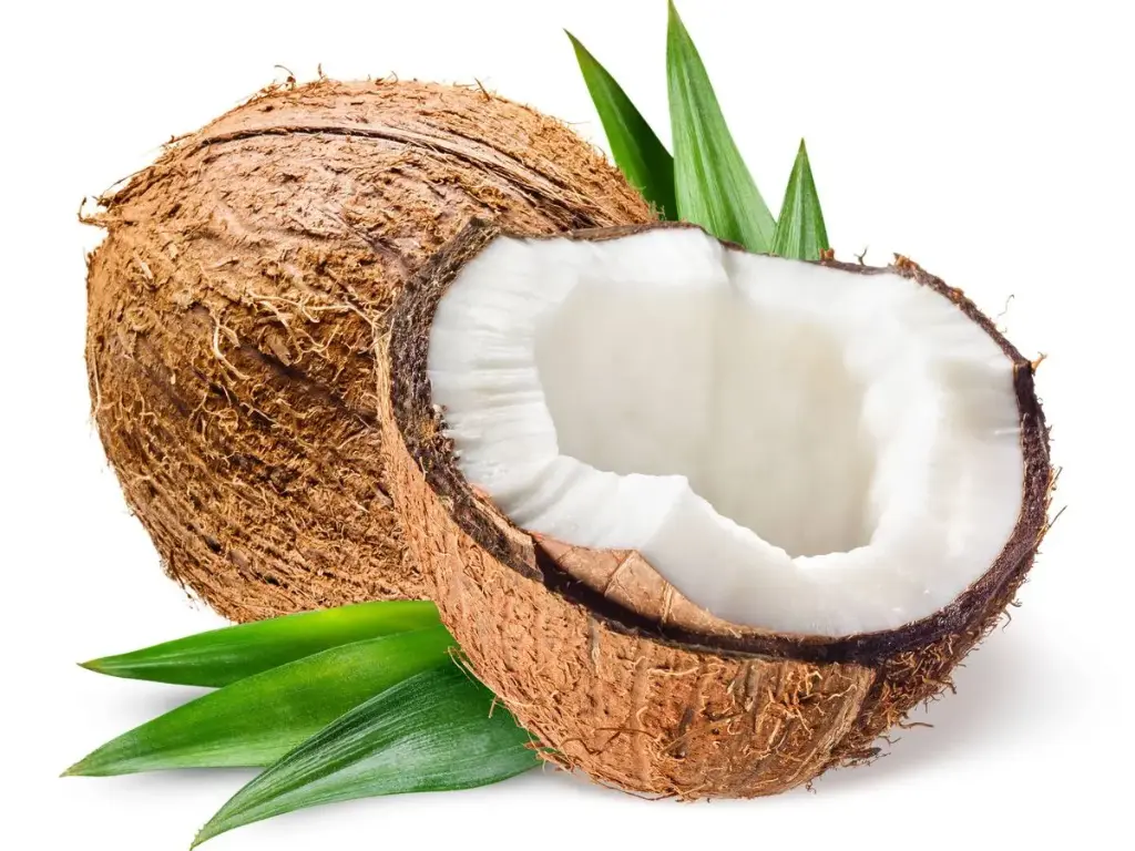 COCO UNIDAD