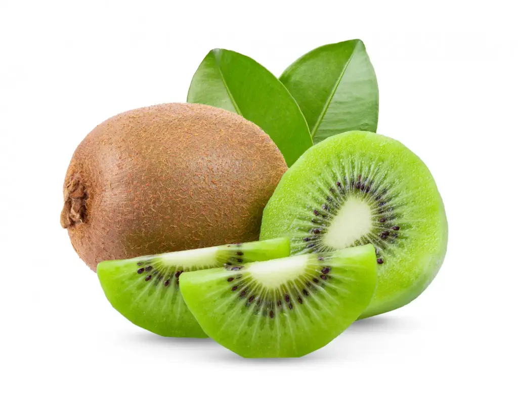 KIWI KG