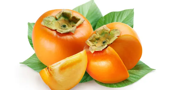 MANCAQUIS KG