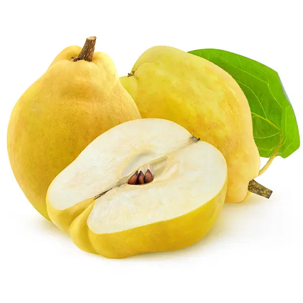 MEMBRILLO KG