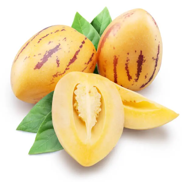 PEPINO FRUTA KG