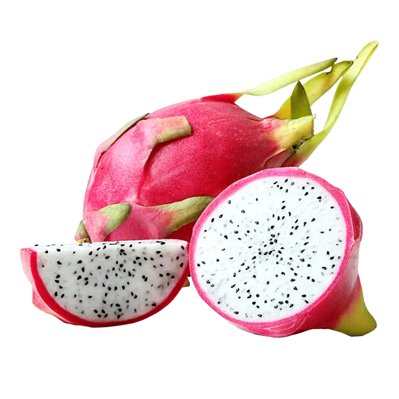 PITAYA KG
