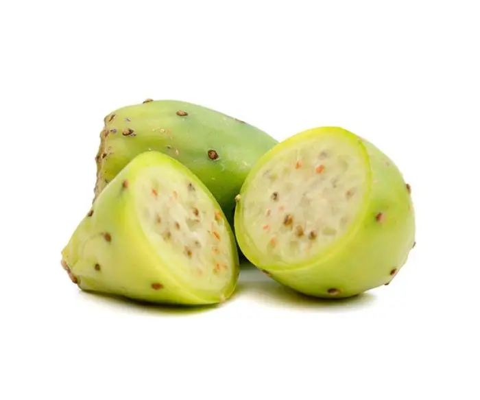 TUNAS KG