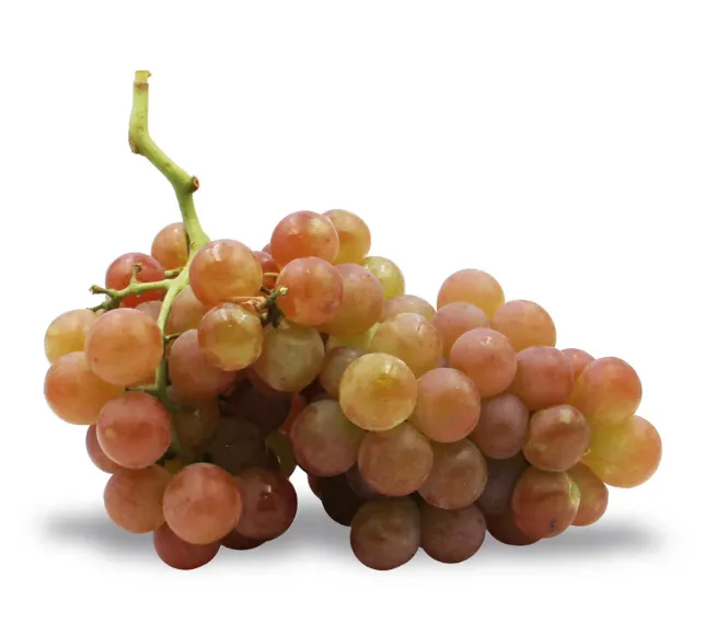 UVA MOSCATEL KG