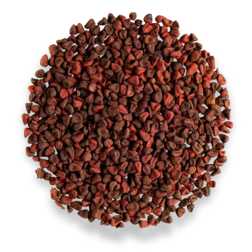 ACHOTE 500 GR 