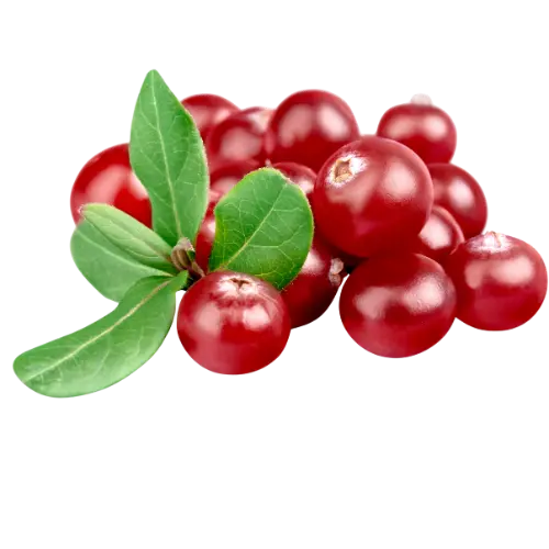  CRANBERRY 500 GR