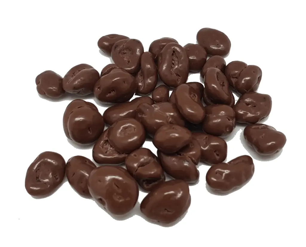  CRANBERRY CON CHOCOLATE 500 GR