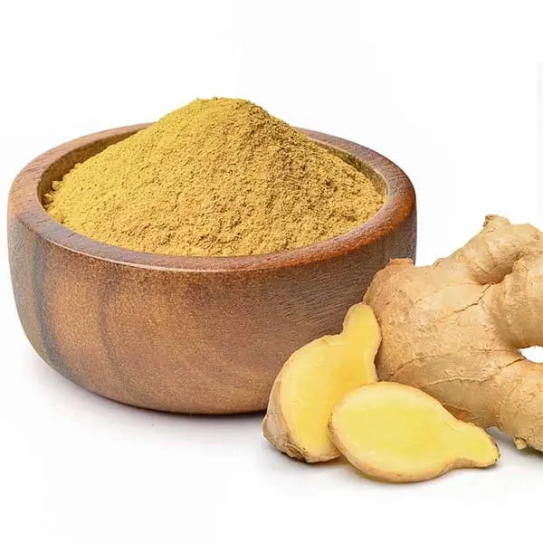SECOS JENGIBRE EN POLVO 500GR UNIDAD