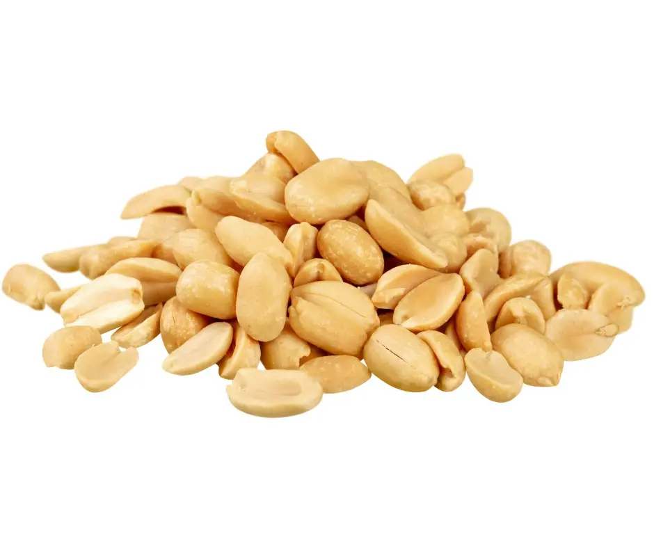 SECOS MANI SIN SAL 500 G BOLSA