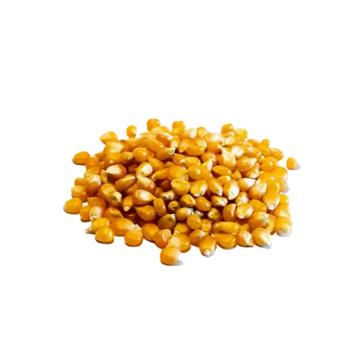 MAIZ CURAGUA KG