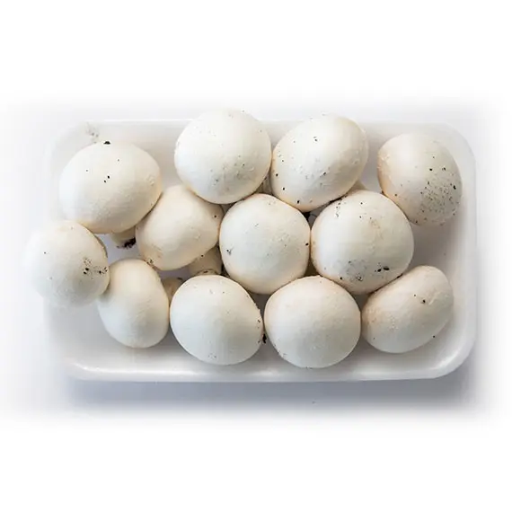 CHAMPIÑON BANDEJA 200 GR 