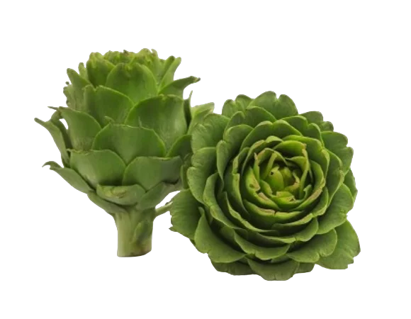 ALCACHOFA ESPAÑOLA UNIDAD