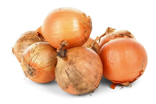 CEBOLLA NUEVA KG