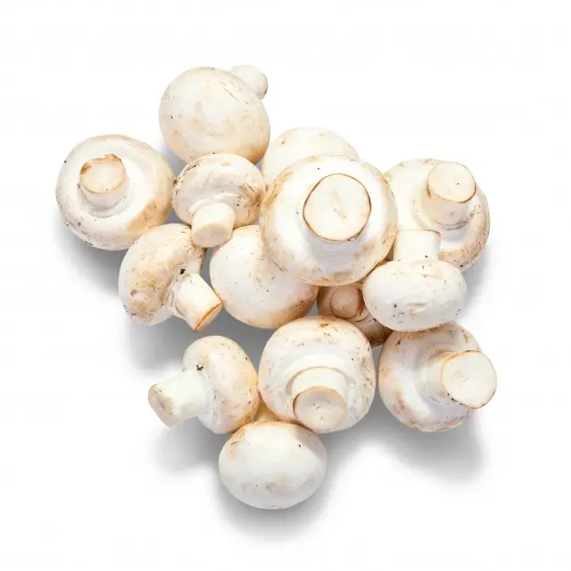 CHAMPIÑON KG