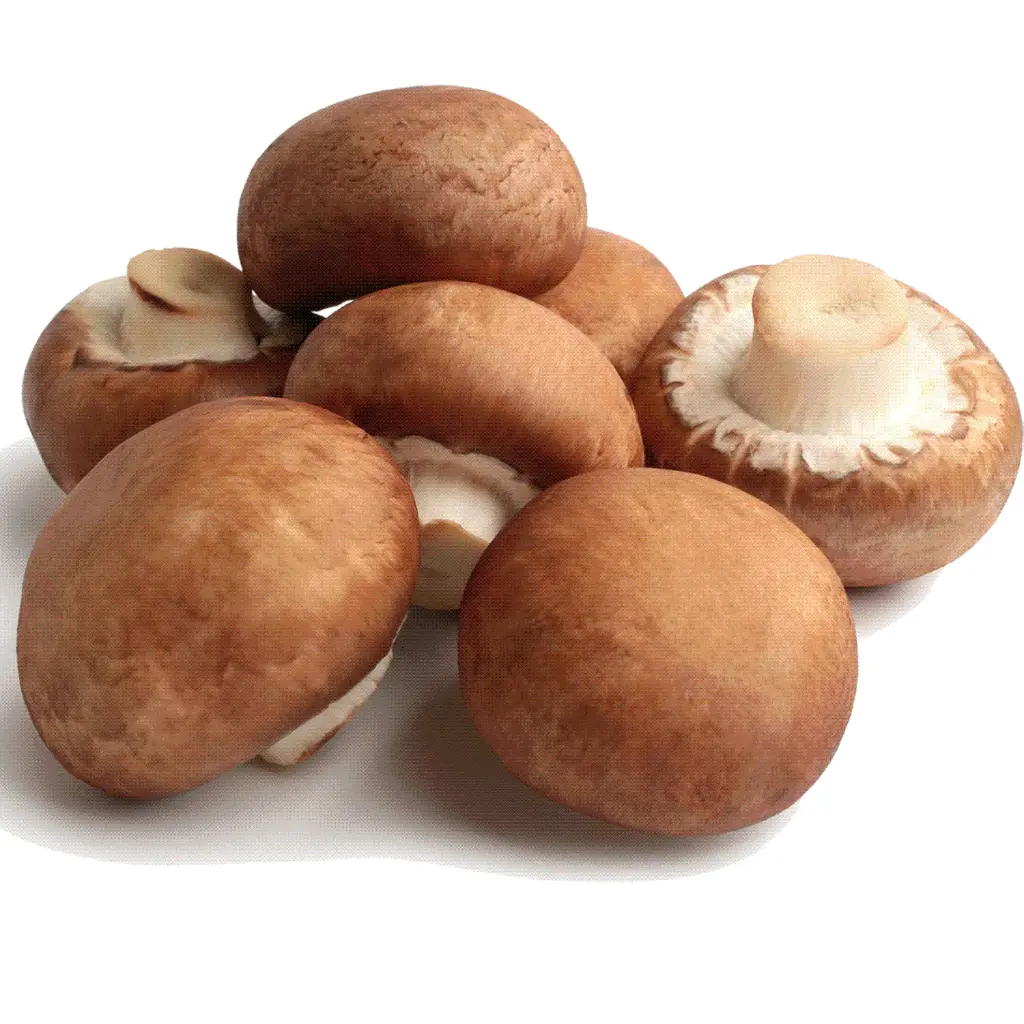 CHAMPIÑON PORTOBELLO kilo