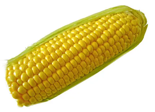 CHOCLO HUMERO UNIDAD