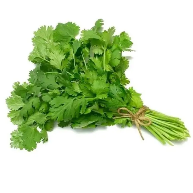 CILANTRO PAQUETE UNIDAD