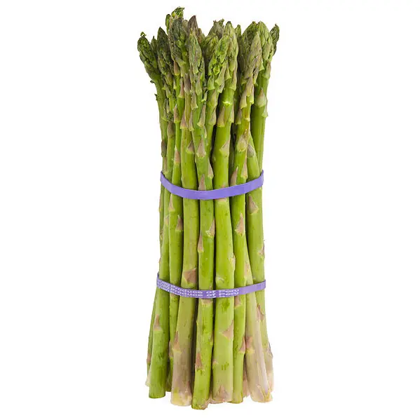 ESPARRAGO PAQUETE 500 GR
