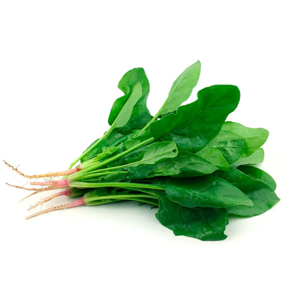 ESPINACA KG