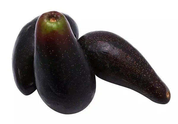 PALTA NEGRA DE LA CRUZ KG
