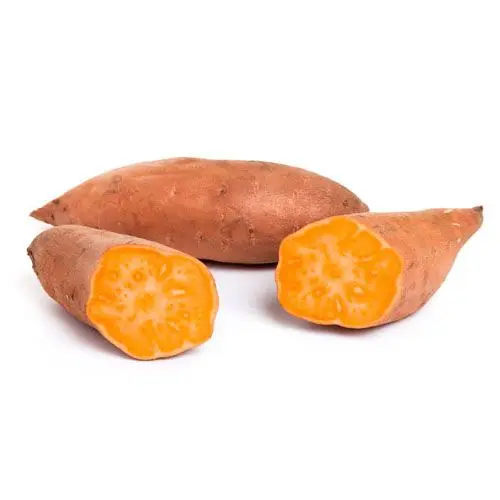 PAPA CAMOTE KG
