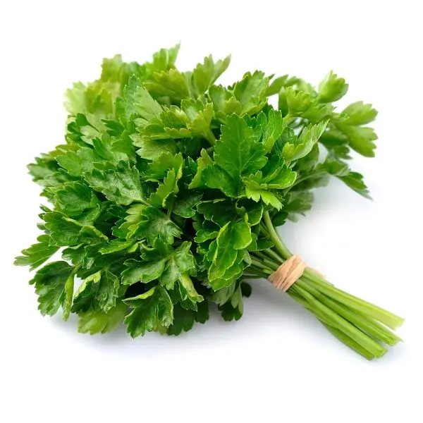 PEREJIL PAQUETE UNIDAD