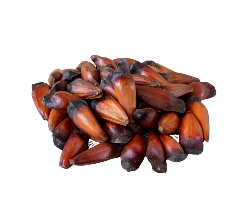 PIÑON KG