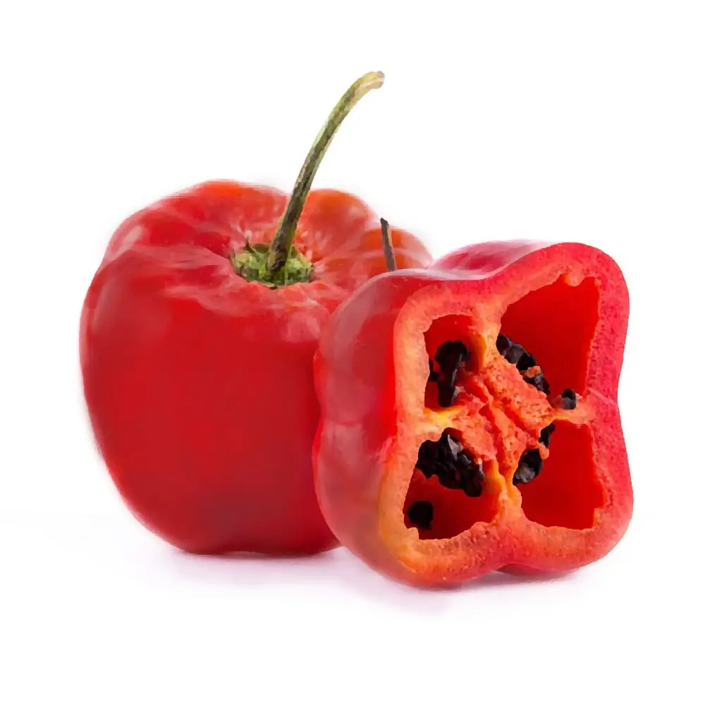 ROCOTO UNIDAD