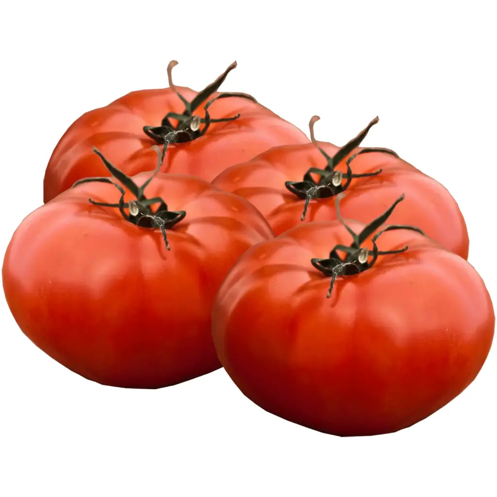 TOMATE GRANDE KG