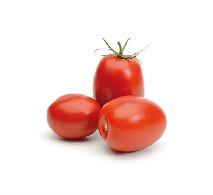 TOMATE POMAROLA KG
