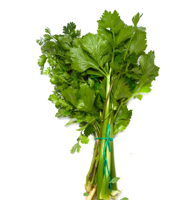 VERDURA SURTIDA PAQUETE UNIDAD