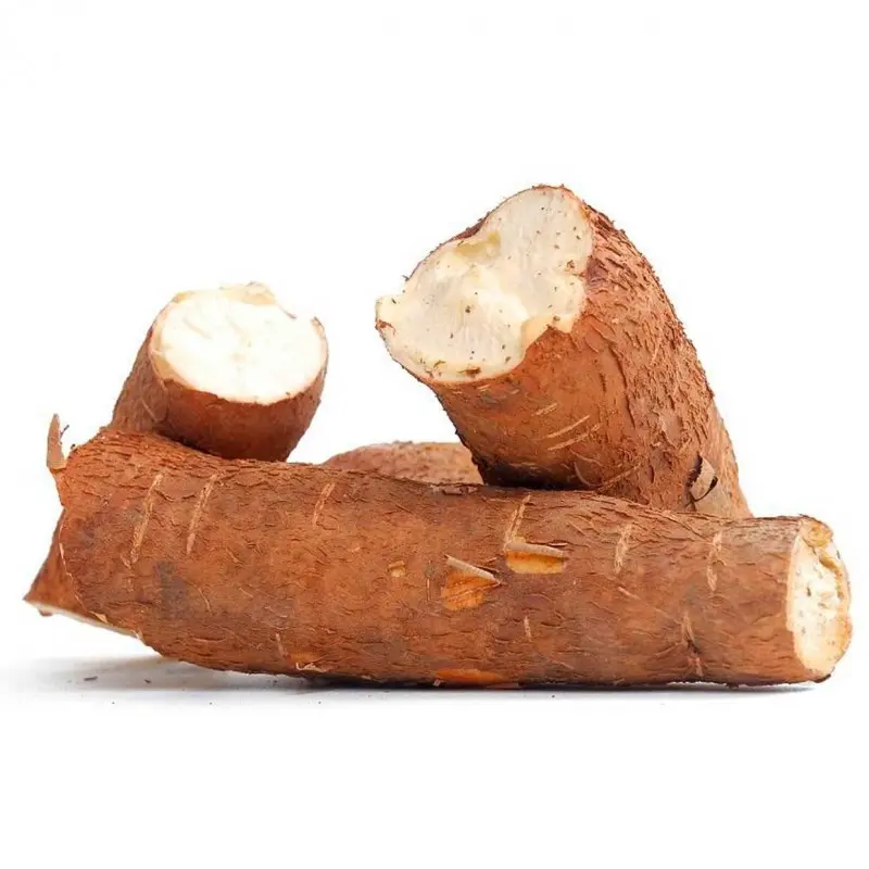 YUCA KG