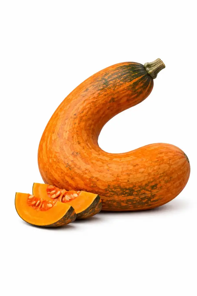 ZAPALLO CORVO UNIDAD