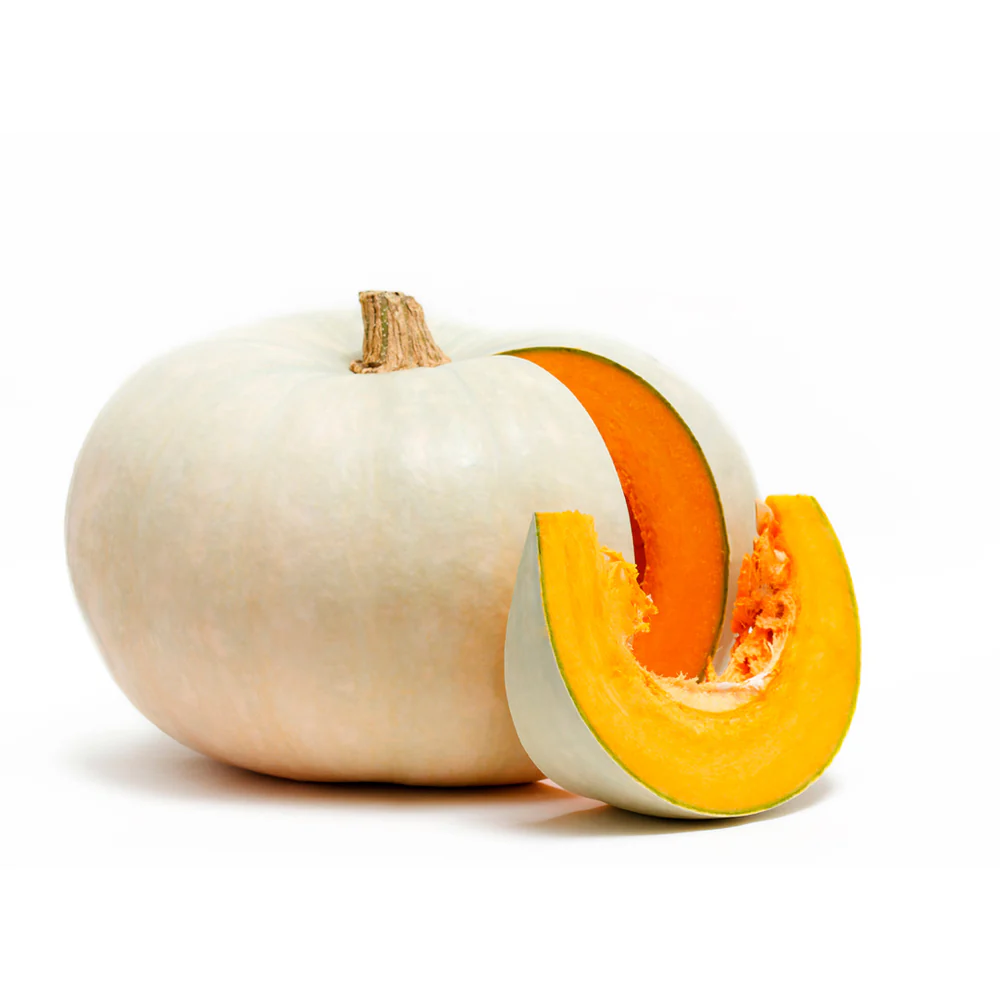 ZAPALLO PAINE UNIDAD