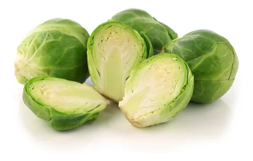 BRUCELAS KG