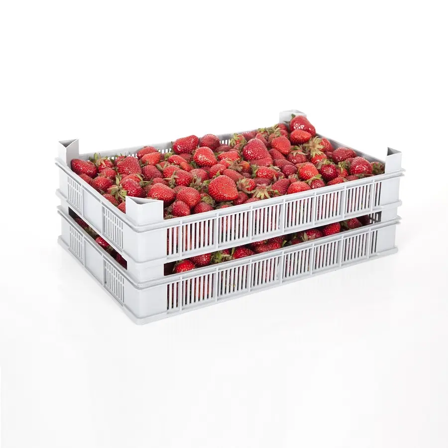 CAJA DE FRUTILLA OFERTA