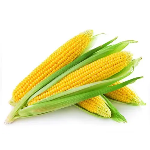 CHOCLO AMERICANO UNIDAD 4X2000