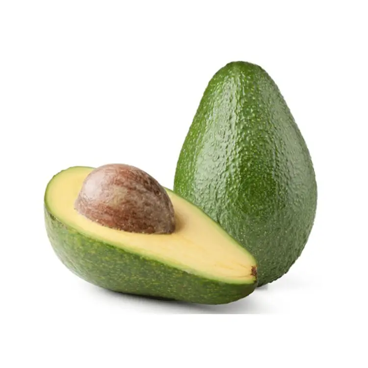 PALTA EDRANOL KG