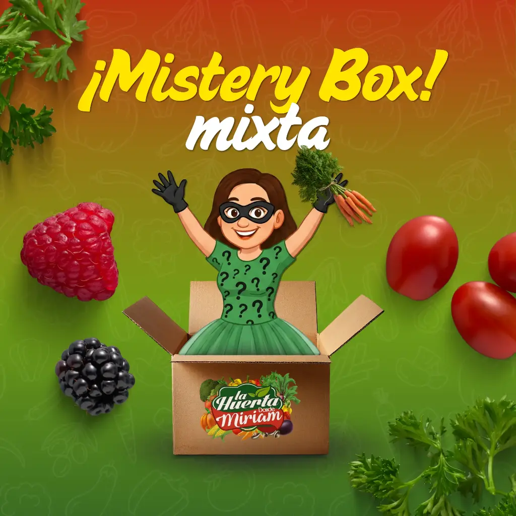 CAJITA MISTERY BOX MIXTA